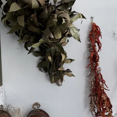 Hobbithousebademler *